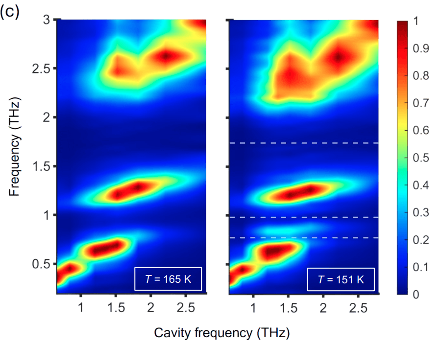 Symmetry-controlled ultrastrong phonon–photon coupling in a terahertz cavity